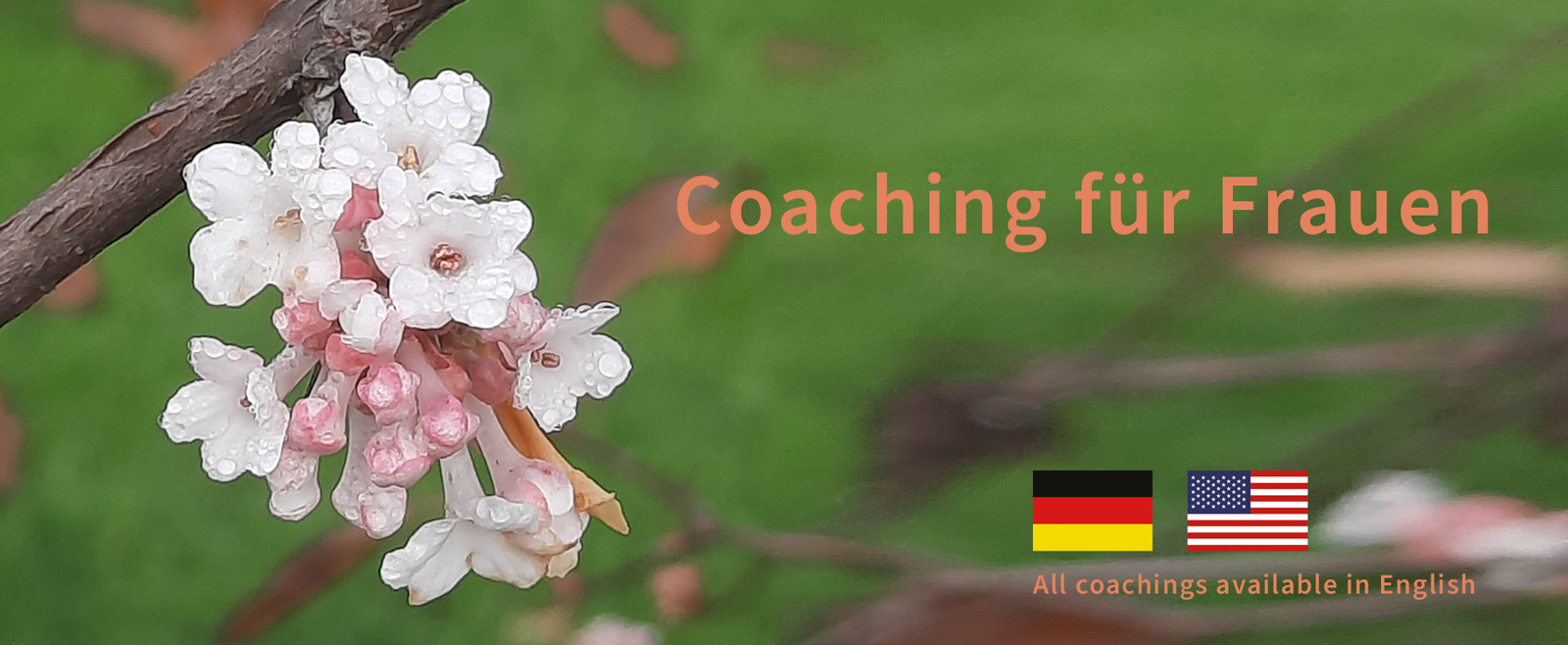 Coaching_fuer_frauen